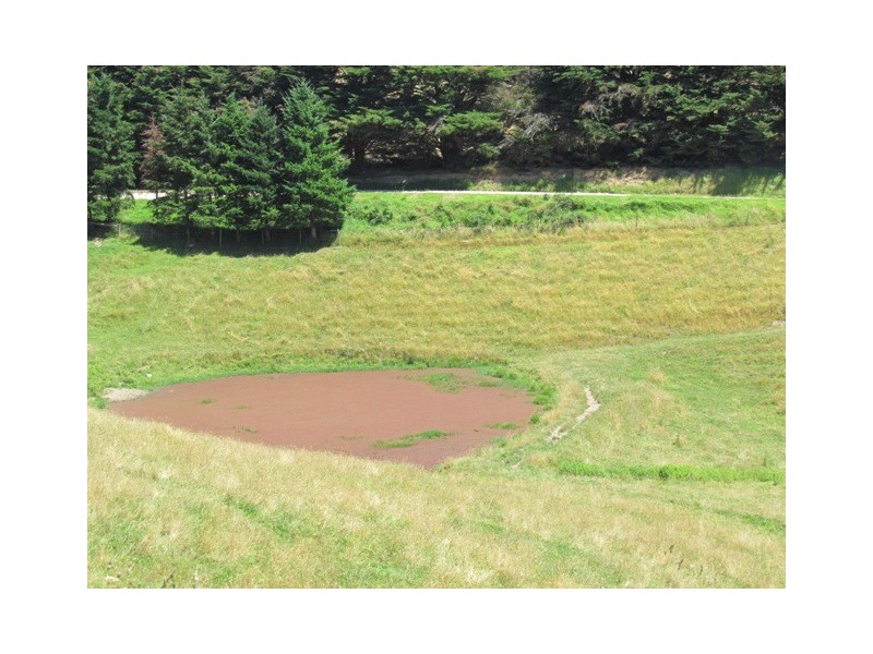 Lots 2 and 4 Grandridge Road, Seaview VIC 3821