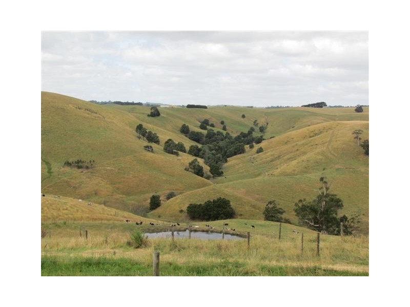 75 Fitzgeralds Road, Poowong VIC 3988