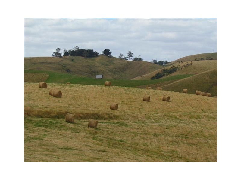 75 Fitzgeralds Road, Poowong VIC 3988