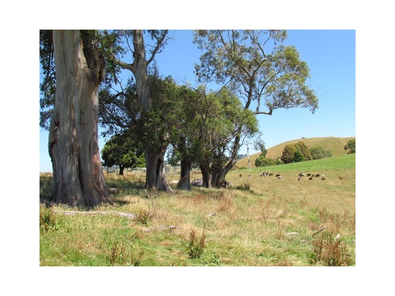 75 Fitzgeralds Road, Poowong VIC 3988