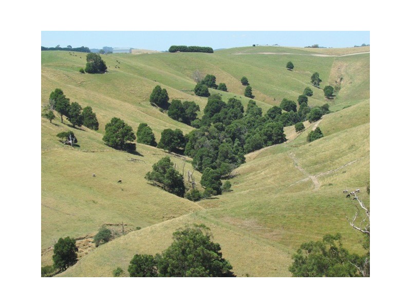 75 Fitzgeralds Road, Poowong VIC 3988