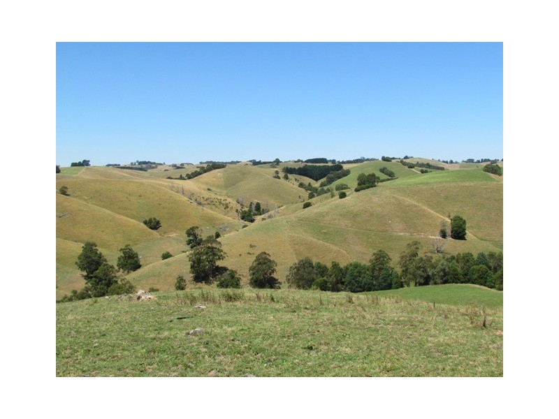 75 Fitzgeralds Road, Poowong VIC 3988