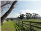 6505 South Gippsland Hwy, Hedley VIC 3967