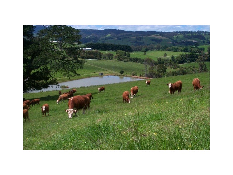 3102 Korumburra Warragul Road, Warragul VIC 3820