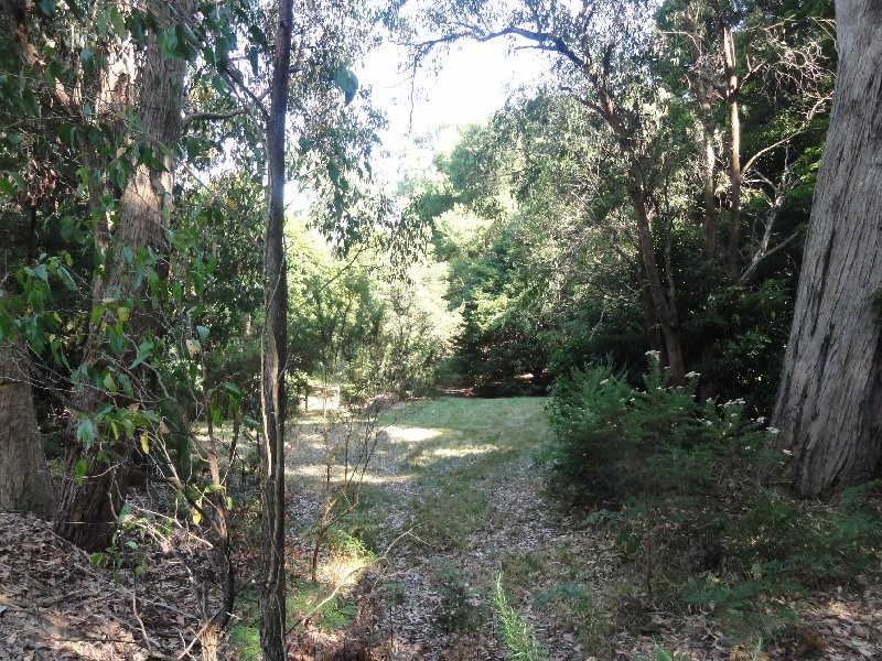 25 Landy Rd, Foster VIC 3960