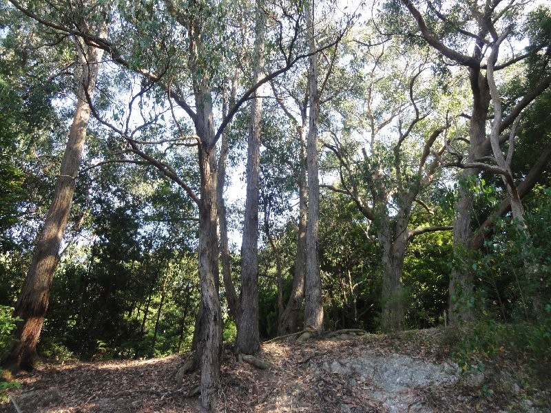 25 Landy Rd, Foster VIC 3960