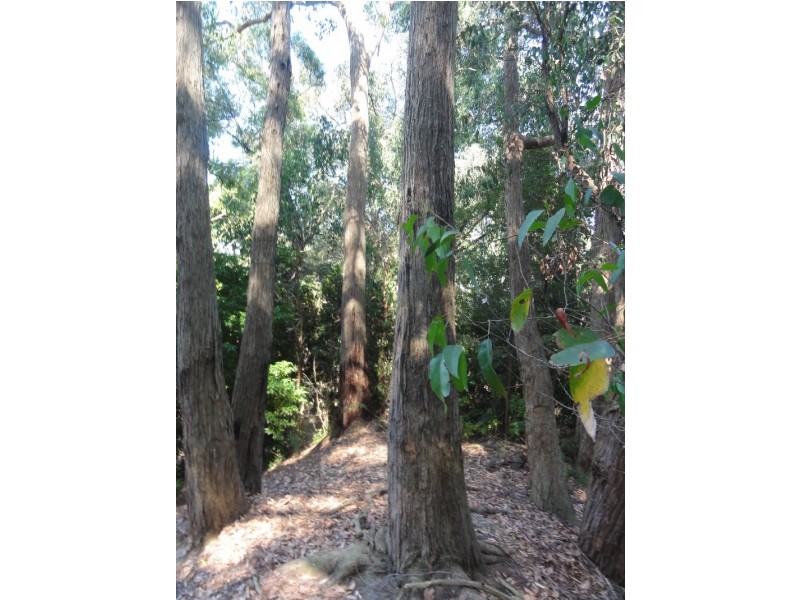 25 Landy Rd, Foster VIC 3960