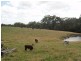 CNR North and Boys Rd, Fish Creek VIC 3959