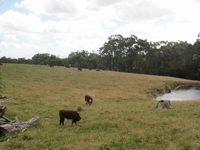 CNR North and Boys Rd, Fish Creek VIC 3959