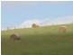 CNR North and Boys Rd, Fish Creek VIC 3959