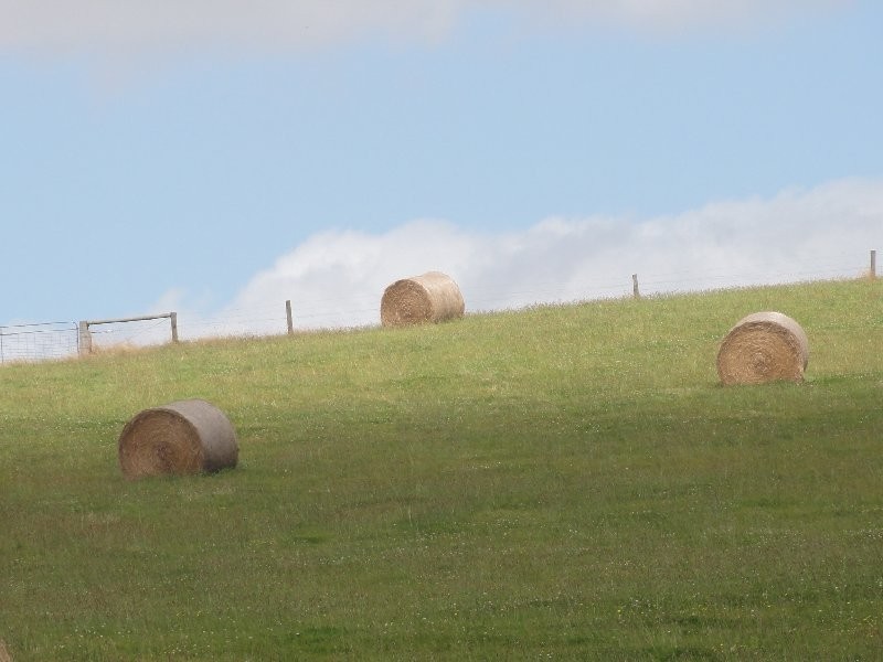 CNR North and Boys Rd, Fish Creek VIC 3959
