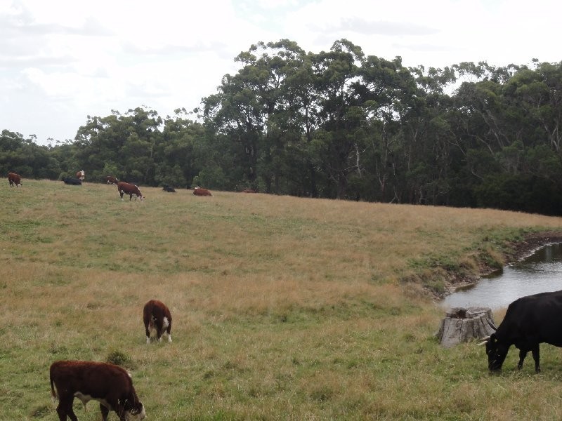CNR North and Boys Rd, Fish Creek VIC 3959