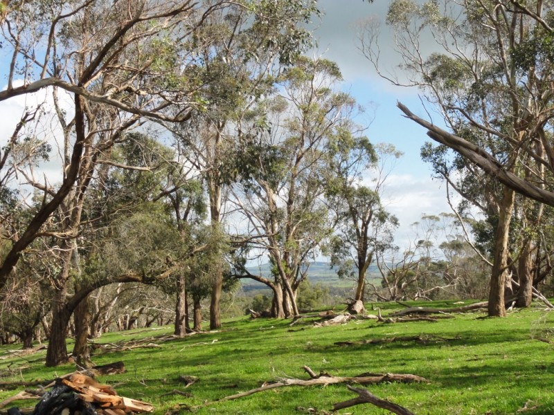 CNR North and Boys Rd, Fish Creek VIC 3959