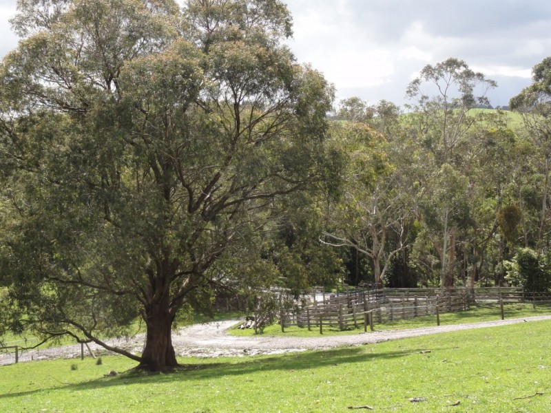 CNR North and Boys Rd, Fish Creek VIC 3959