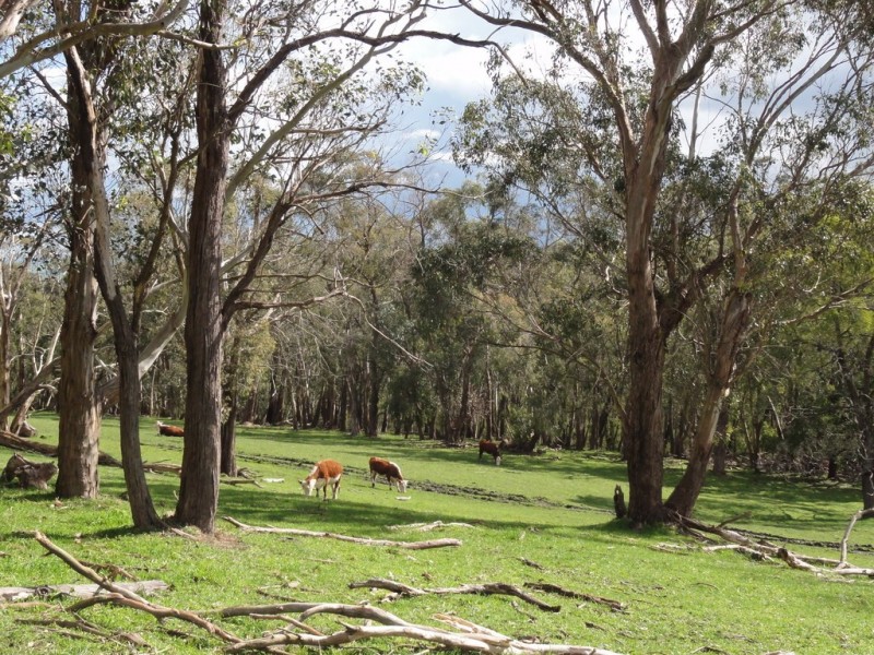CNR North and Boys Rd, Fish Creek VIC 3959