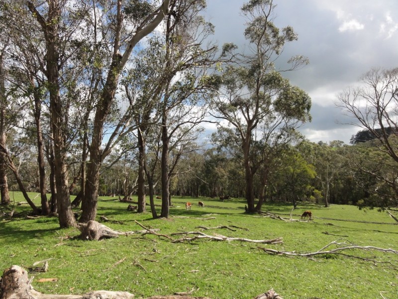 CNR North and Boys Rd, Fish Creek VIC 3959