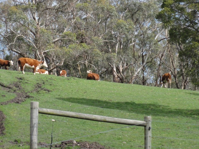 CNR North and Boys Rd, Fish Creek VIC 3959