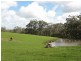 CNR North and Boys Rd, Fish Creek VIC 3959