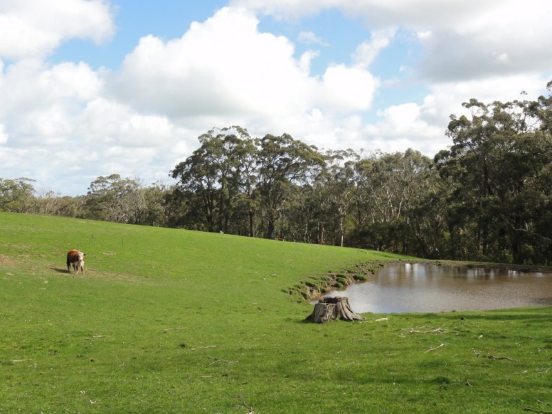 CNR North and Boys Rd, Fish Creek VIC 3959