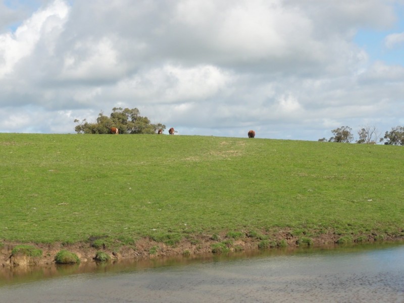 CNR North and Boys Rd, Fish Creek VIC 3959