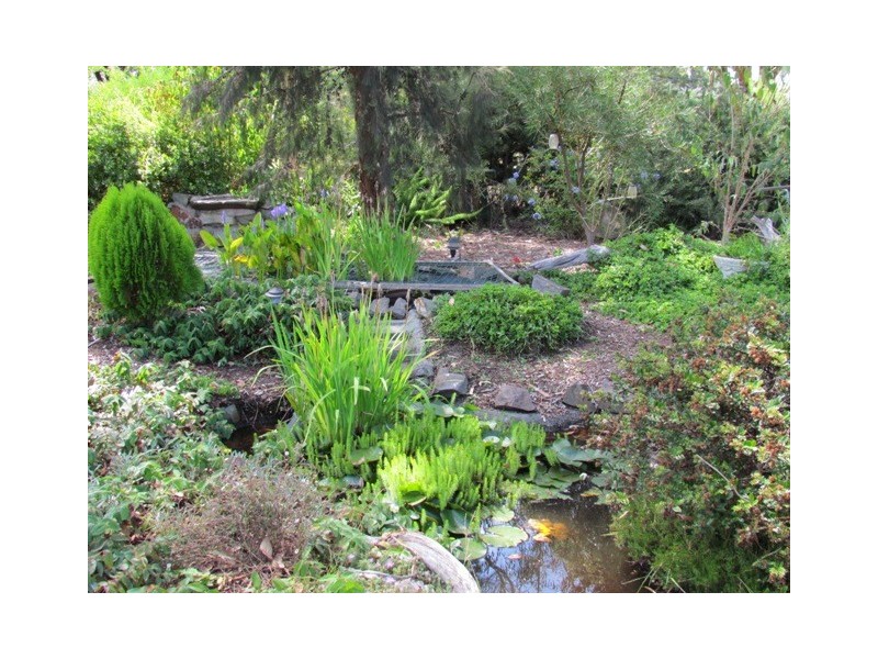 1099 Moe Willow Grove Road, Willow Grove VIC 3825