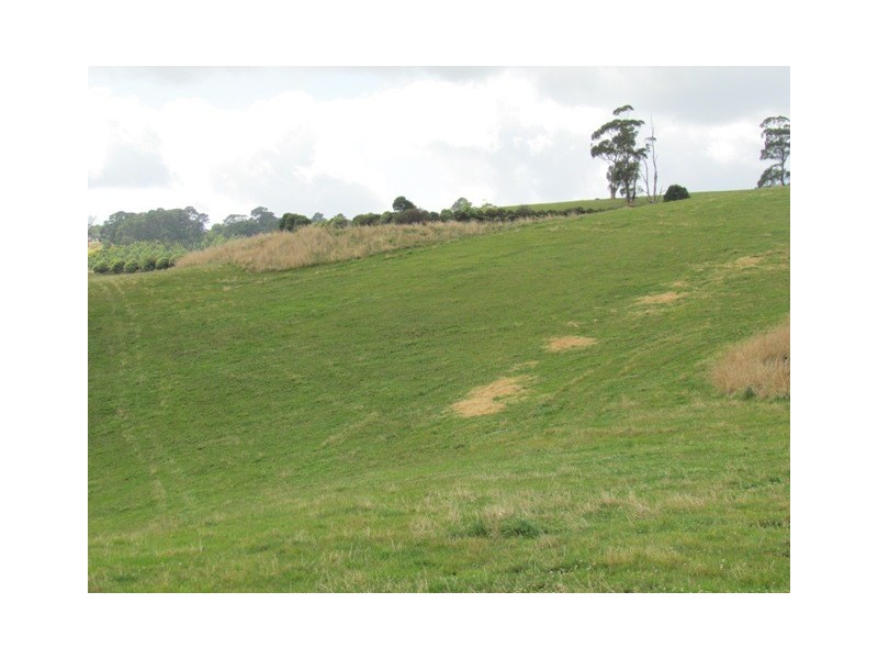 Lot 2 (Plan of Sub) Mountain View Road, Mountain View VIC 3988