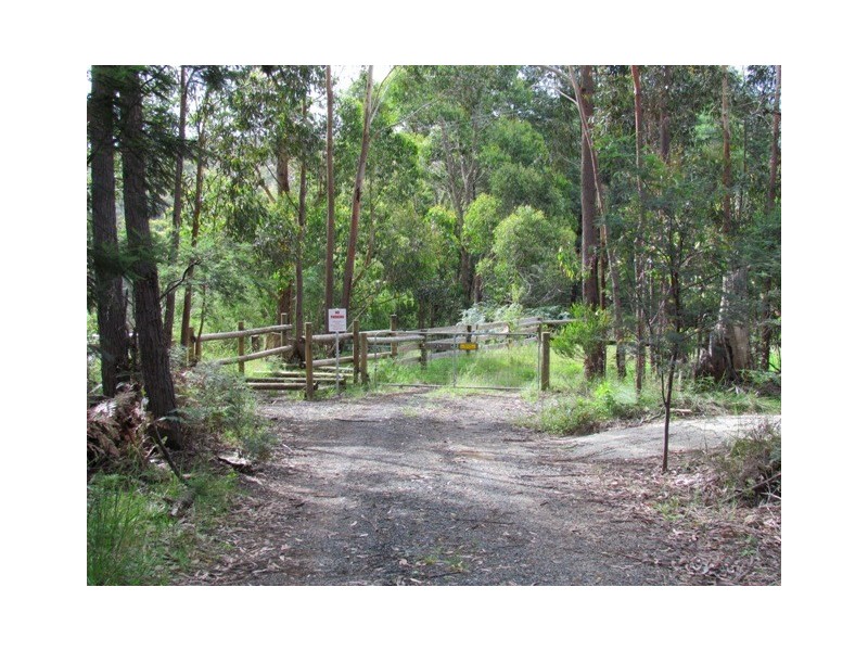 729 Jacksons Track, Jindivick VIC 3818