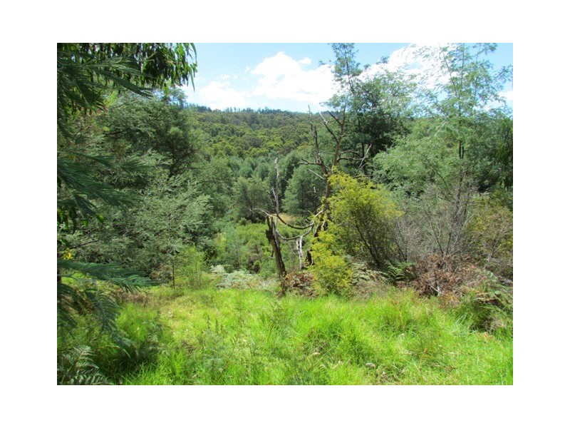 729 Jacksons Track, Jindivick VIC 3818