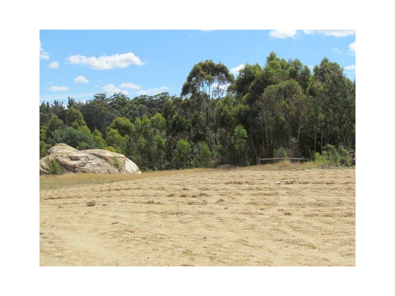 729 Jacksons Track, Jindivick VIC 3818