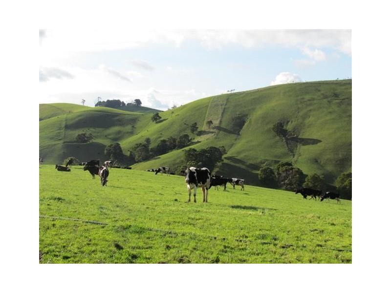 135 Waterfall Road, Poowong East VIC 3988