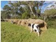 Lot 1 South Gippsland Hwy, Hedley VIC 3967