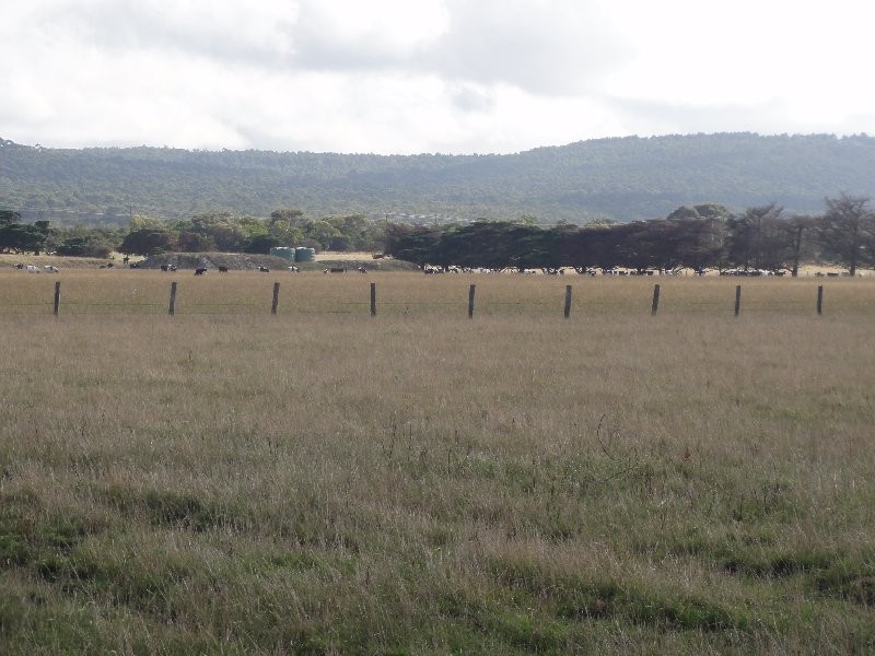 Lot 1 South Gippsland Hwy, Hedley VIC 3967