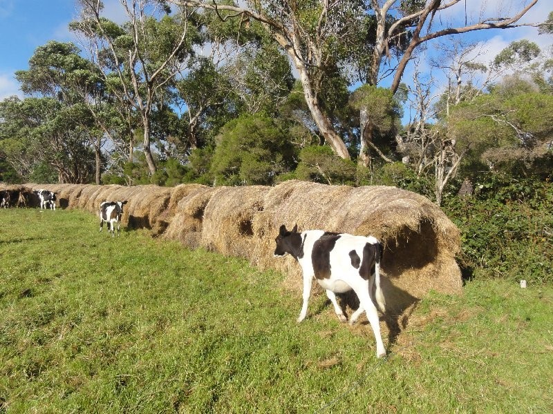 Lot 1 South Gippsland Hwy, Welshpool VIC 3966
