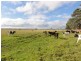 Lot 1 South Gippsland Hwy, Welshpool VIC 3966