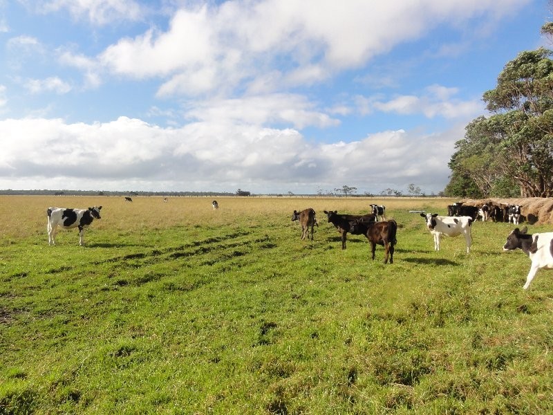 Lot 1 South Gippsland Hwy, Welshpool VIC 3966