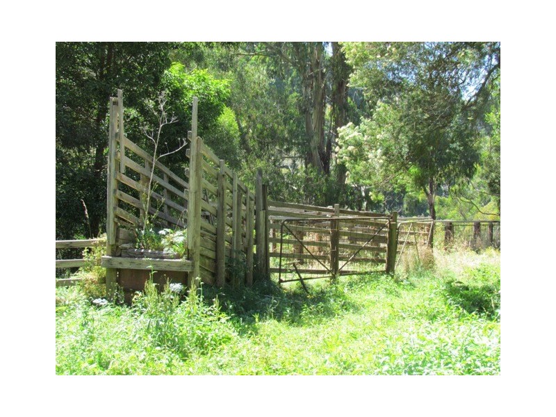 Lot 1  Wild Dog Road, Strzelecki VIC 3950