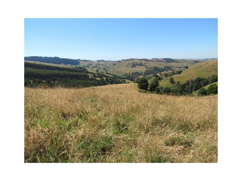 Lot 1  Wild Dog Road, Strzelecki VIC 3950