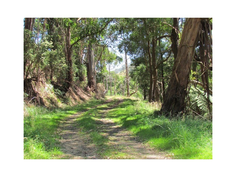 Lot 1  Wild Dog Road, Strzelecki VIC 3950