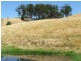 Lot 1  Wild Dog Road, Strzelecki VIC 3950