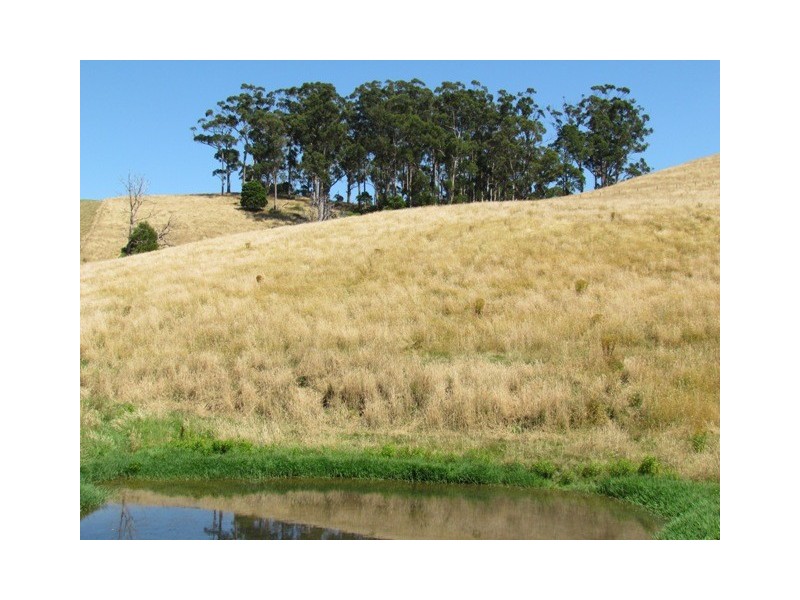 Lot 1  Wild Dog Road, Strzelecki VIC 3950