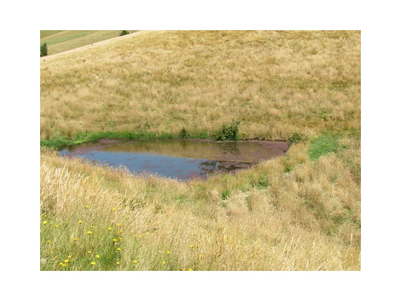 Lot 1  Wild Dog Road, Strzelecki VIC 3950