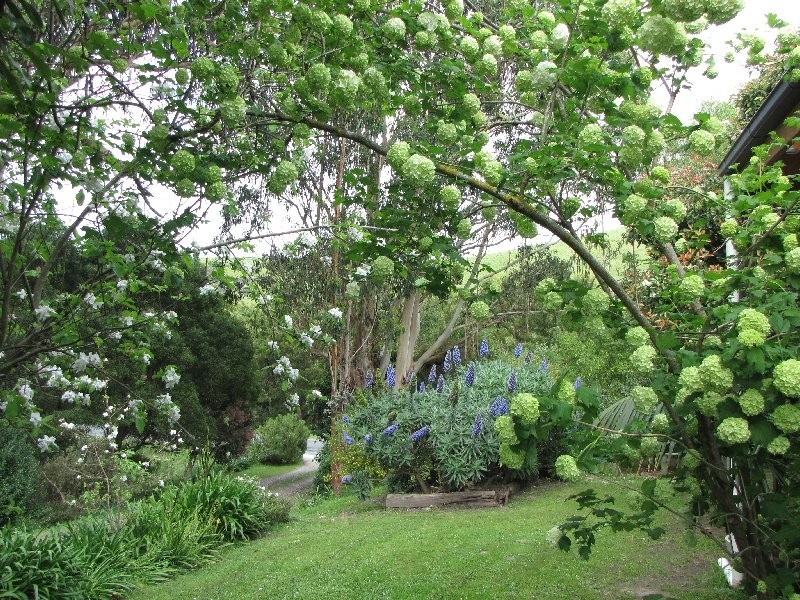 120 Creamery Valley Rd, Toora VIC 3962