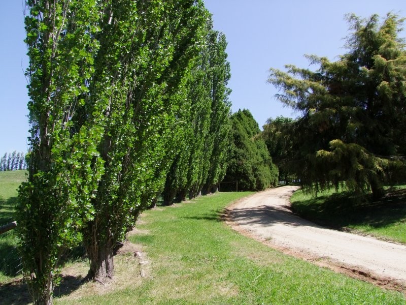 Berrys Creek VIC 3953