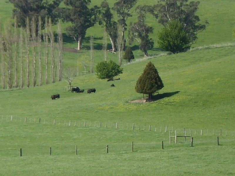 Berrys Creek VIC 3953