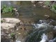Berrys Creek VIC 3953
