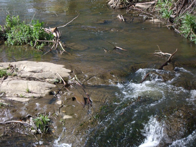 Berrys Creek VIC 3953