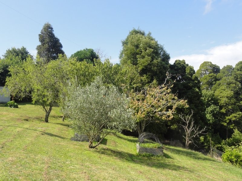 1590 Turtons Creek Rd, Foster North VIC 3960