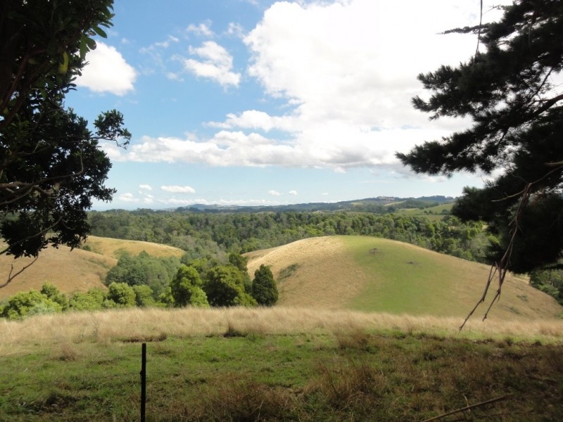 1590 Turtons Creek Rd, Foster North VIC 3960