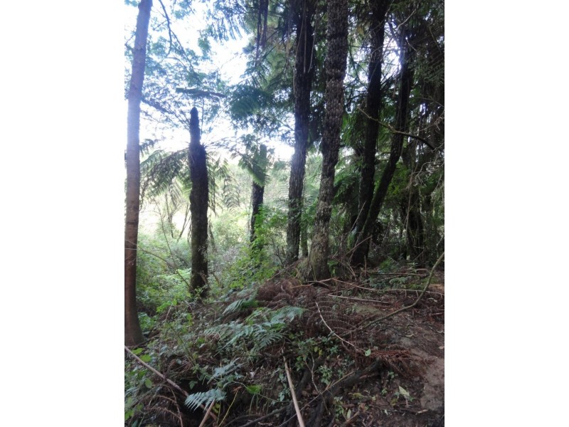 1590 Turtons Creek Rd, Foster North VIC 3960