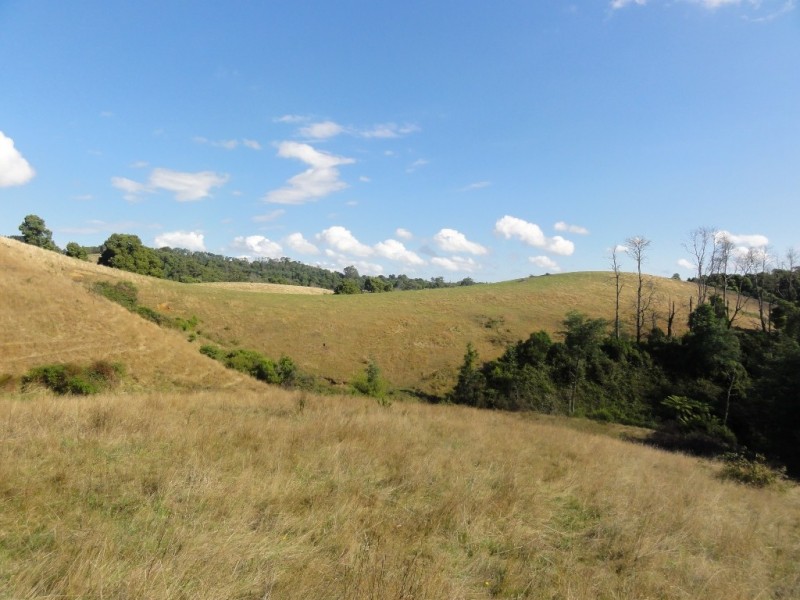 1590 Turtons Creek Rd, Foster North VIC 3960